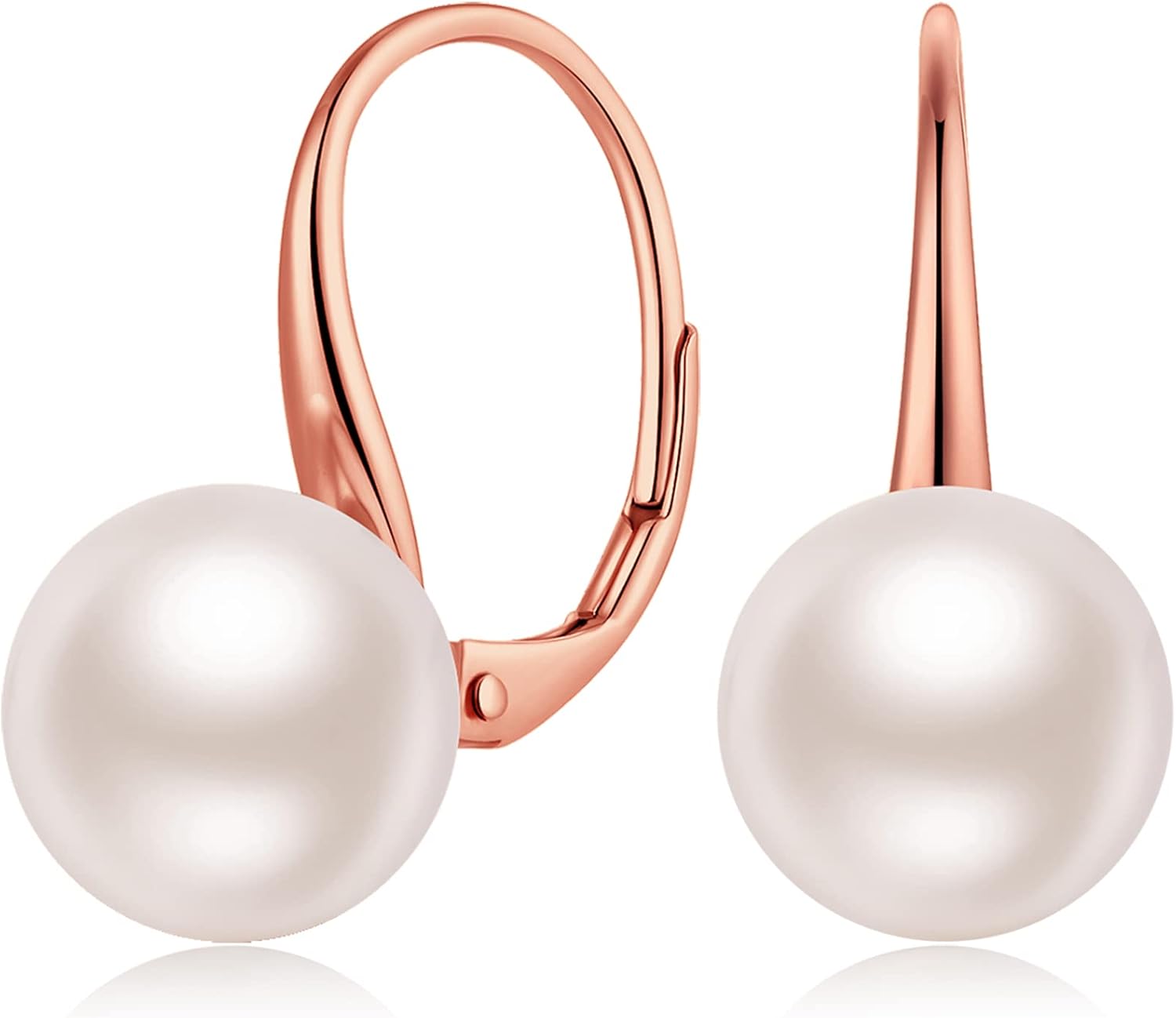 ボトルフラワー ネモフィラ アトリエRyoko 20cm×18cm お花 ドライ